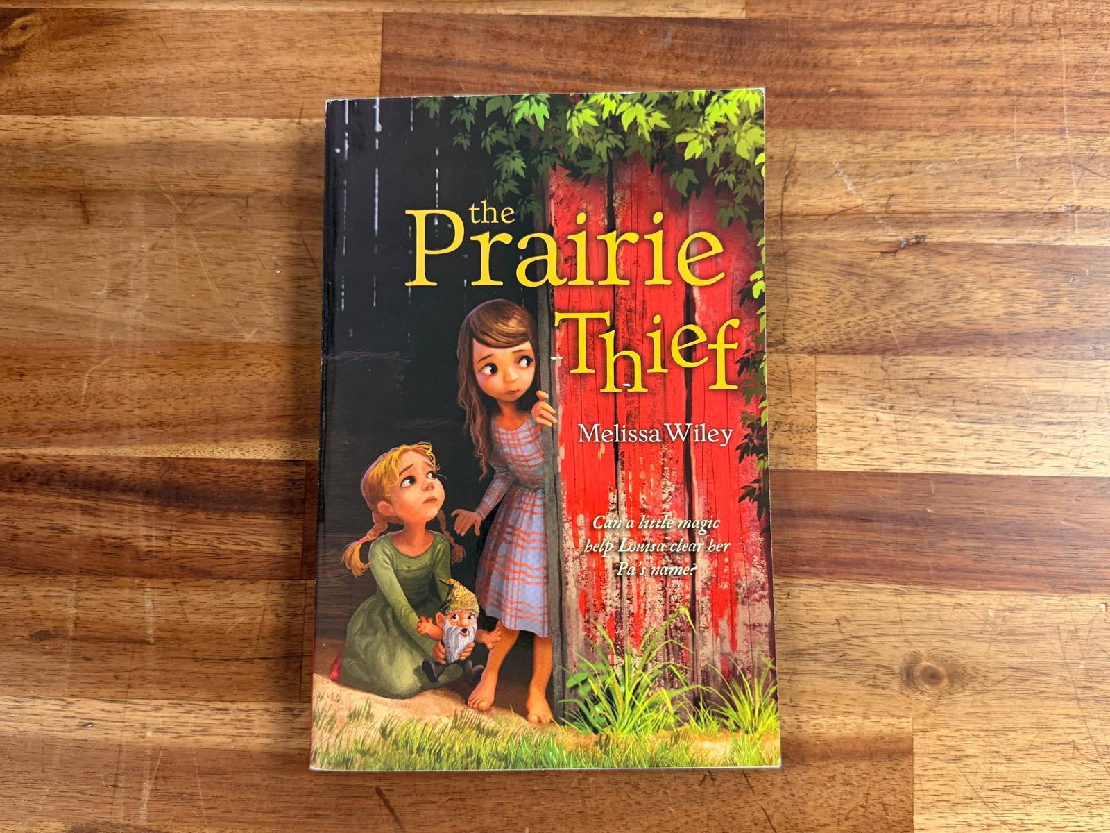 The Prarie Thief by Melissa Wiley