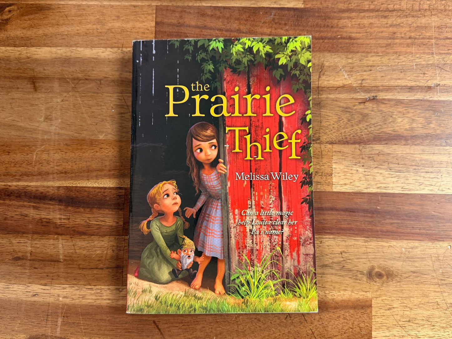 The Prarie Thief by Melissa Wiley