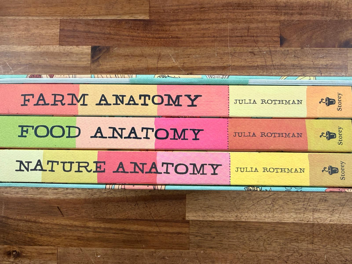 The Julia Rothman Collection