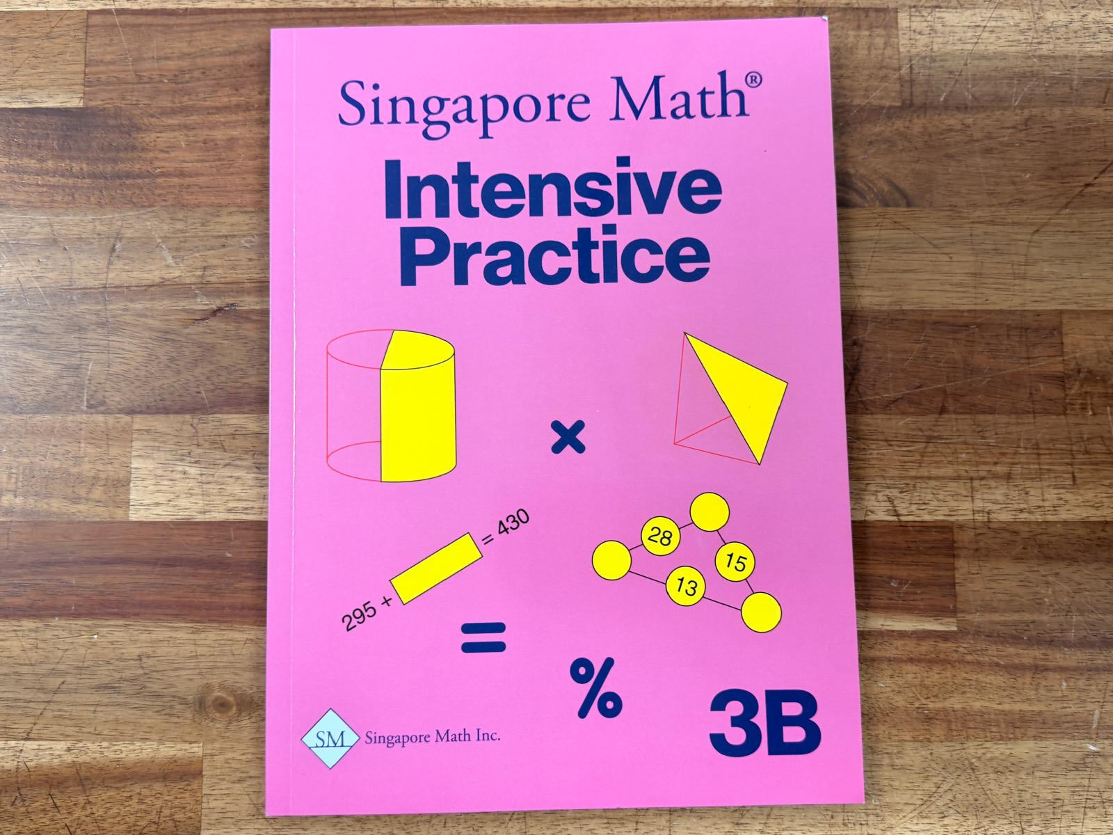 Singapore Math Intensive Practice 3B