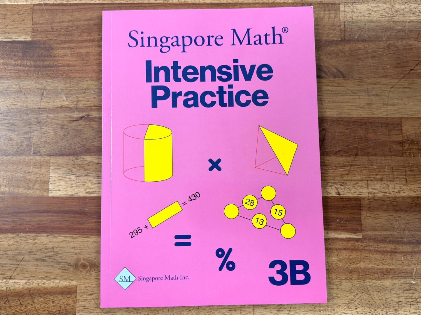 Singapore Math Intensive Practice 3B