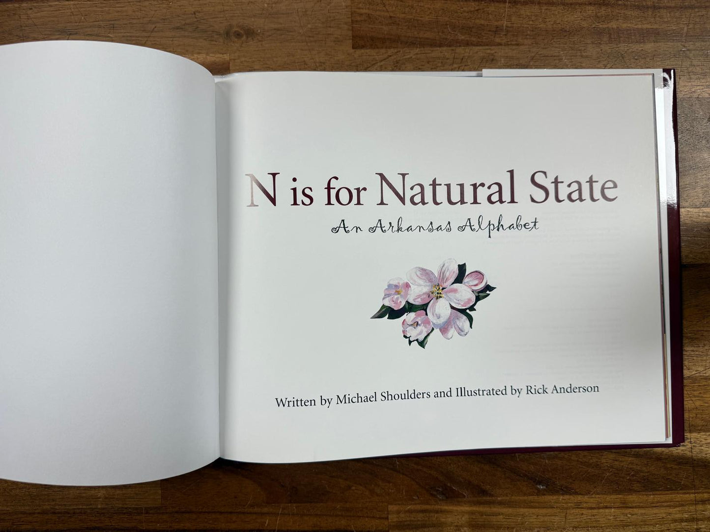 N is for Natural State: An Arkansas Alphabet (HC, NEW)