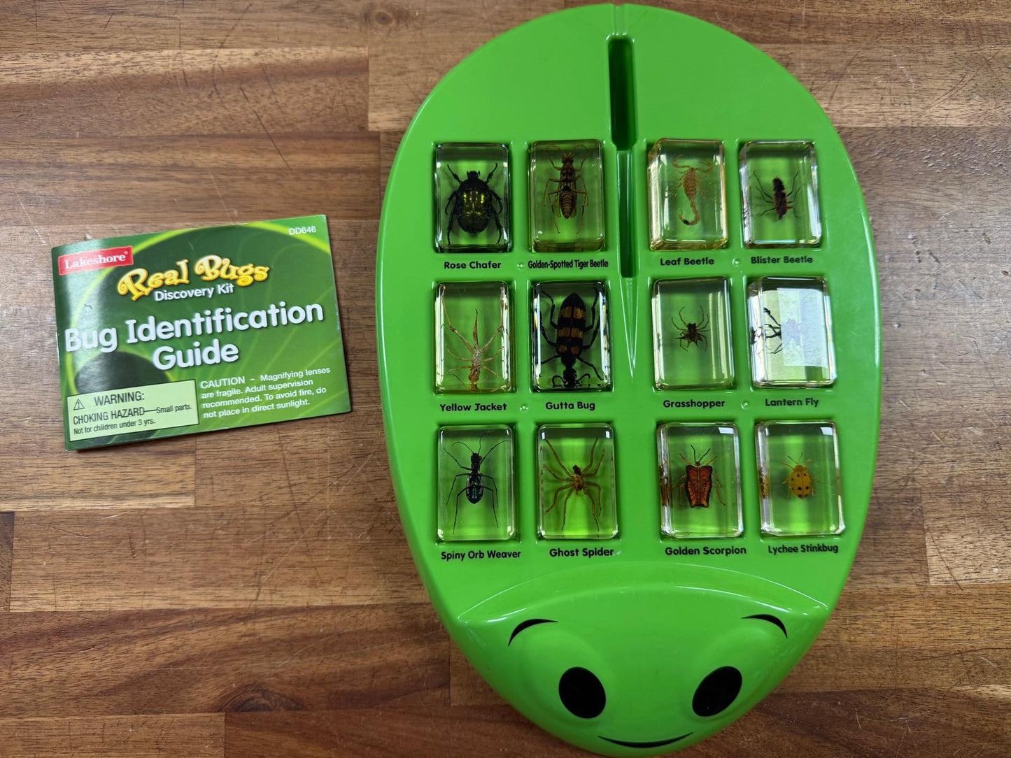 Real Bugs Discovery Kit (Good, Clean & Complete)