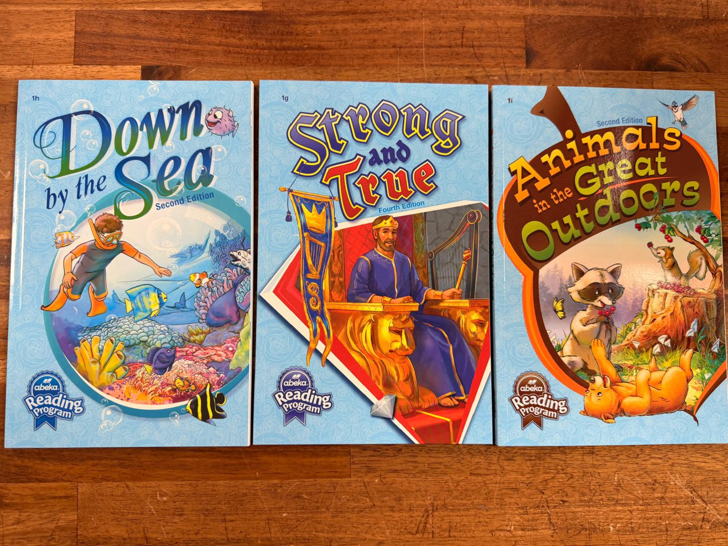 Abeka 1st Grade Reading Program Readers Lot 9 a-i (VG)