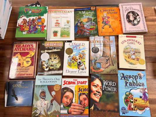 Sonlight Curriculum Intro in World History Year 2 of 2 LOT
