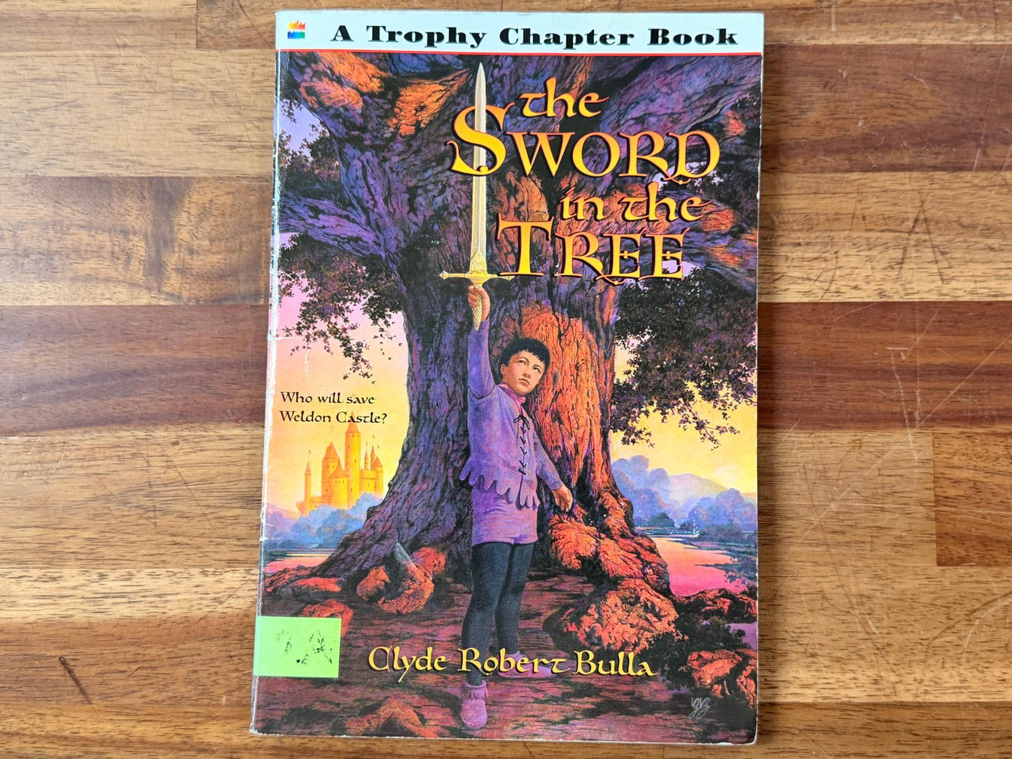 Trophy Chapter Book - The Sword in the Tree