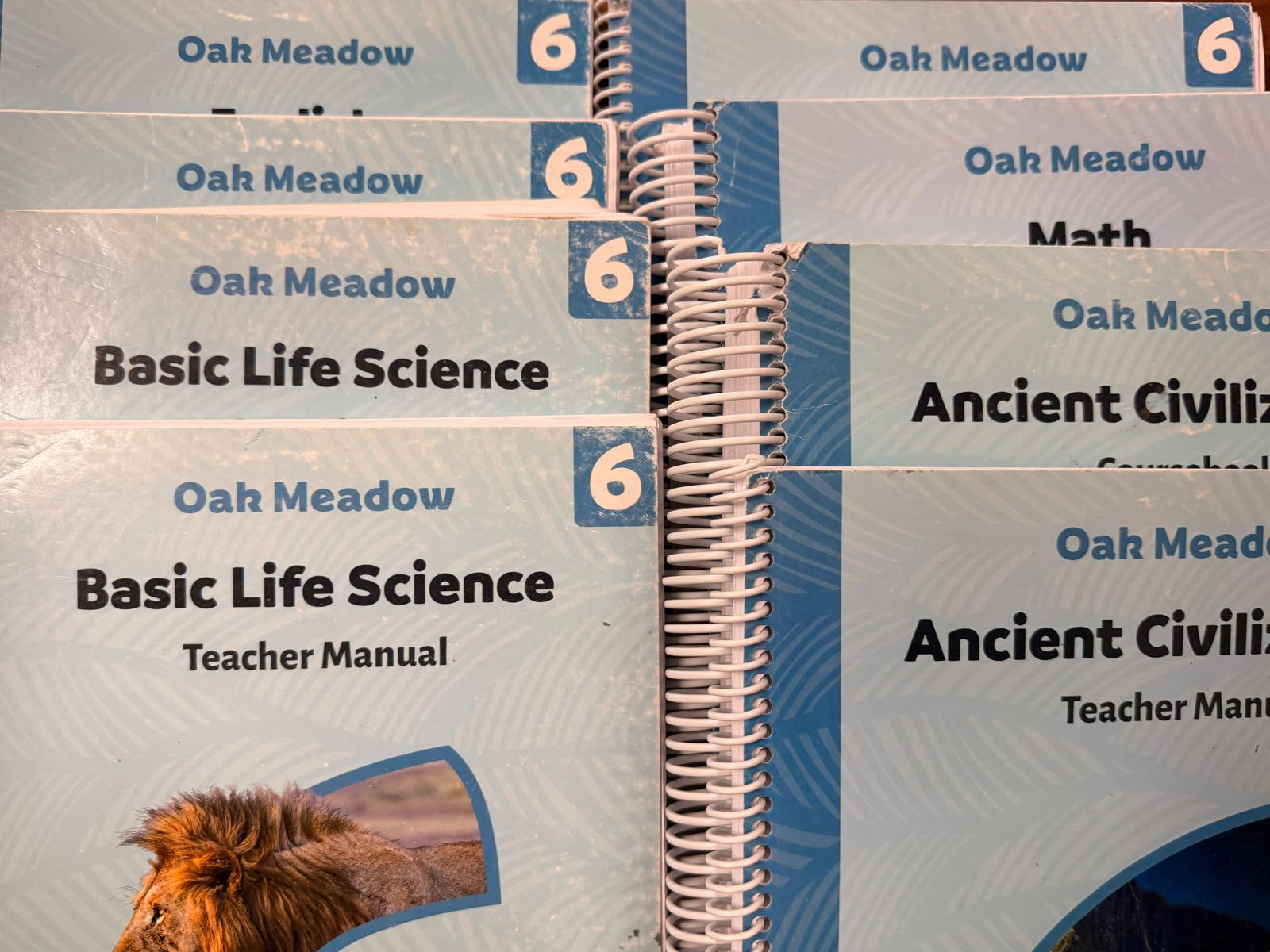 Oak Meadow Grade 6 Full Curriculum Package