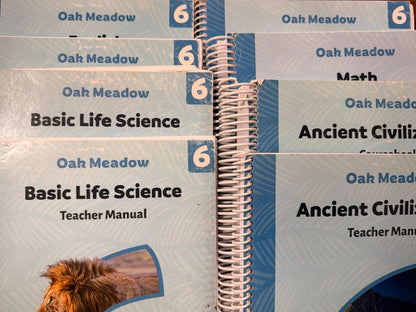 Oak Meadow Grade 6 Full Curriculum Package