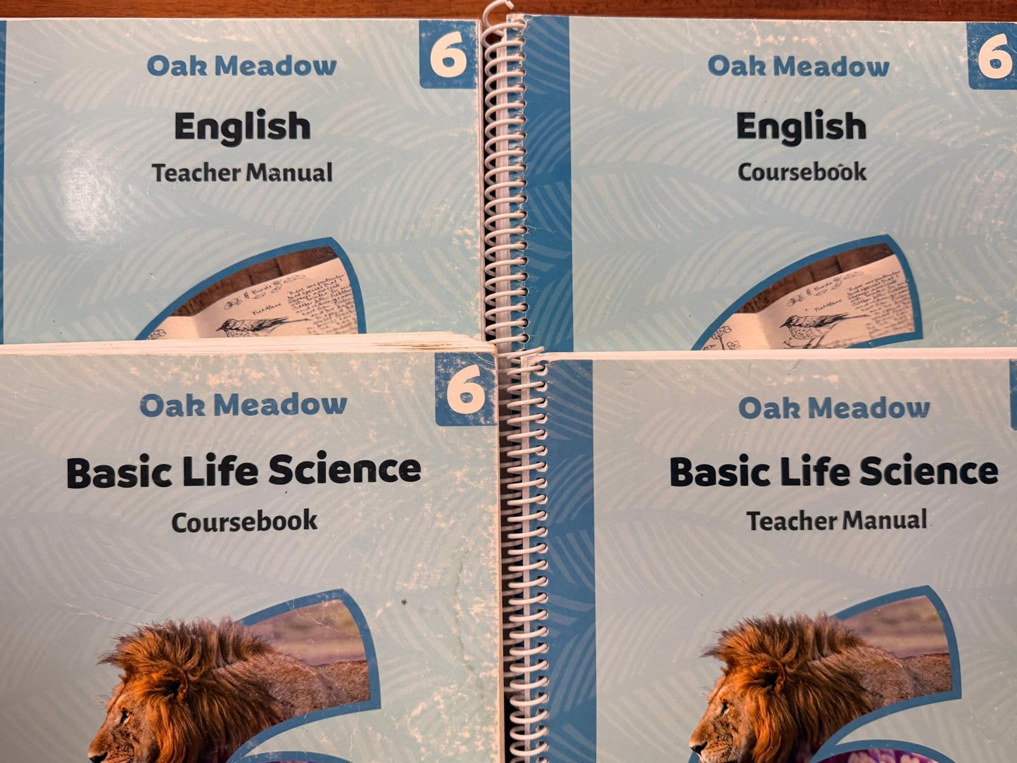 Oak Meadow Grade 6 Full Curriculum Package