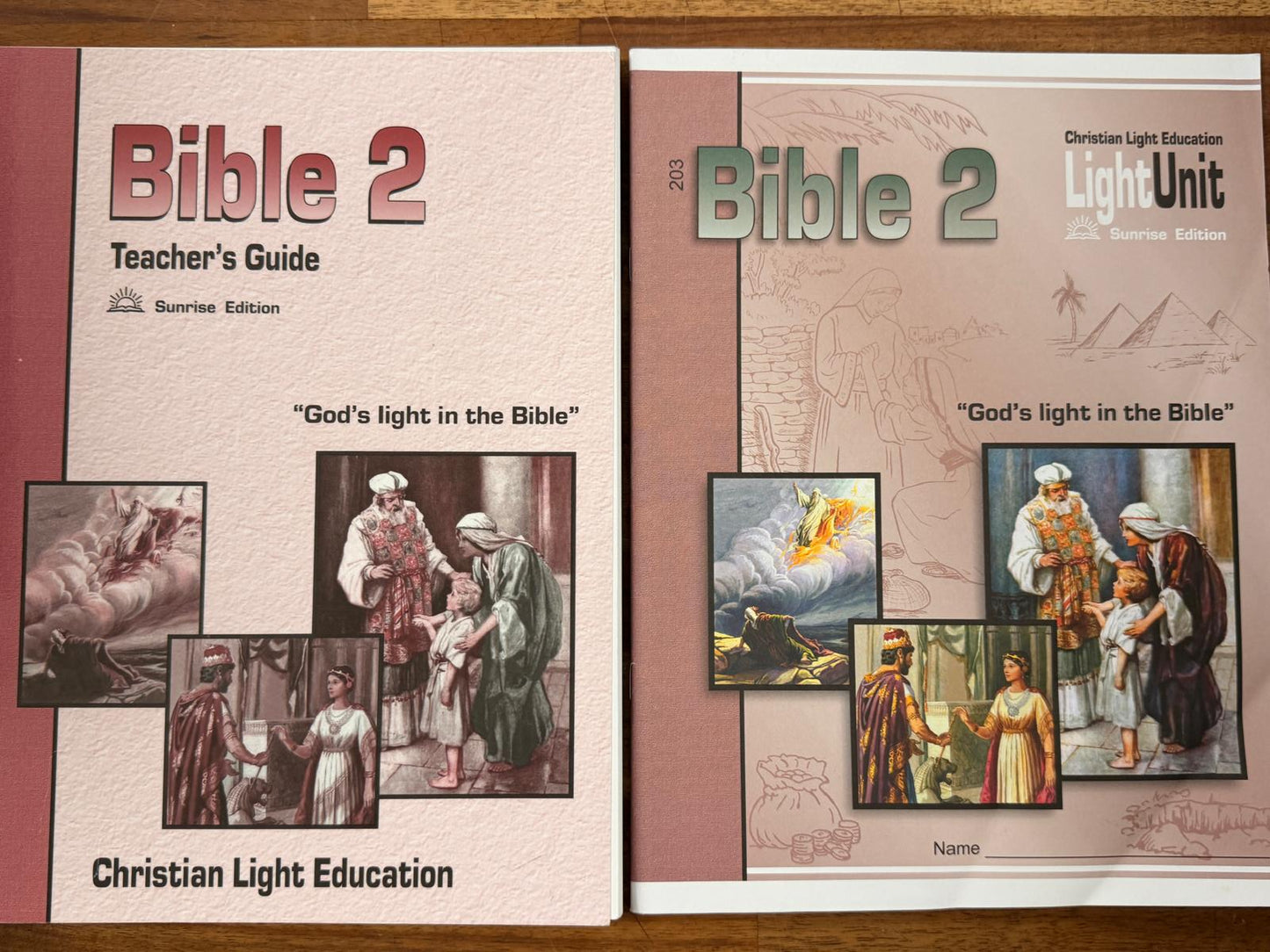 CLE Bible 2 Teacher's Guide and Units 203-205