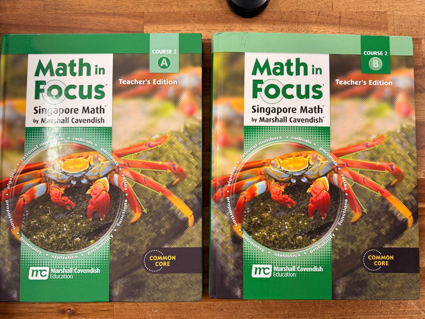 Math in Focus Course 2 A/B Teacher's Edition