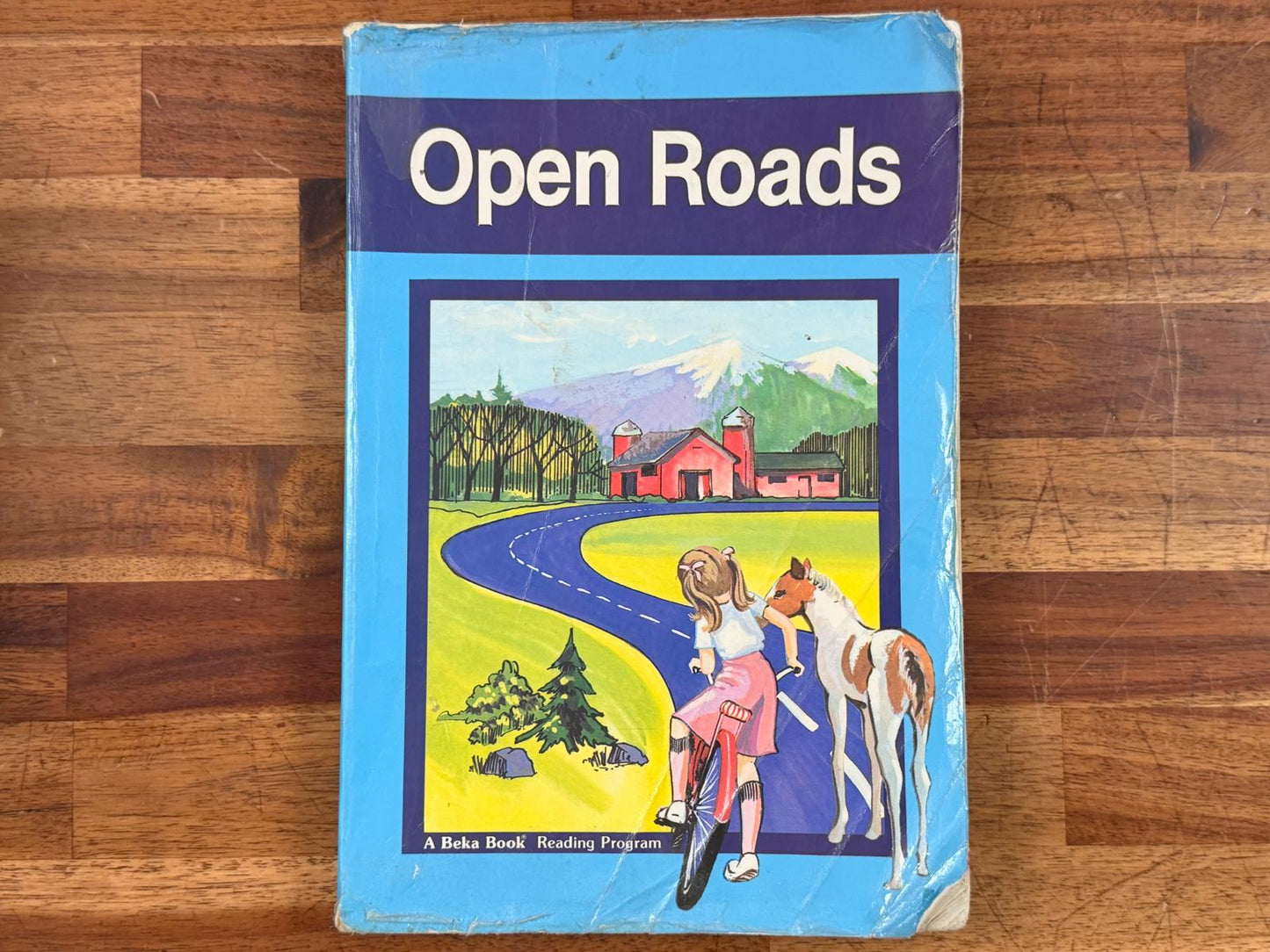 Abeka Reader 2-4 Open Roads