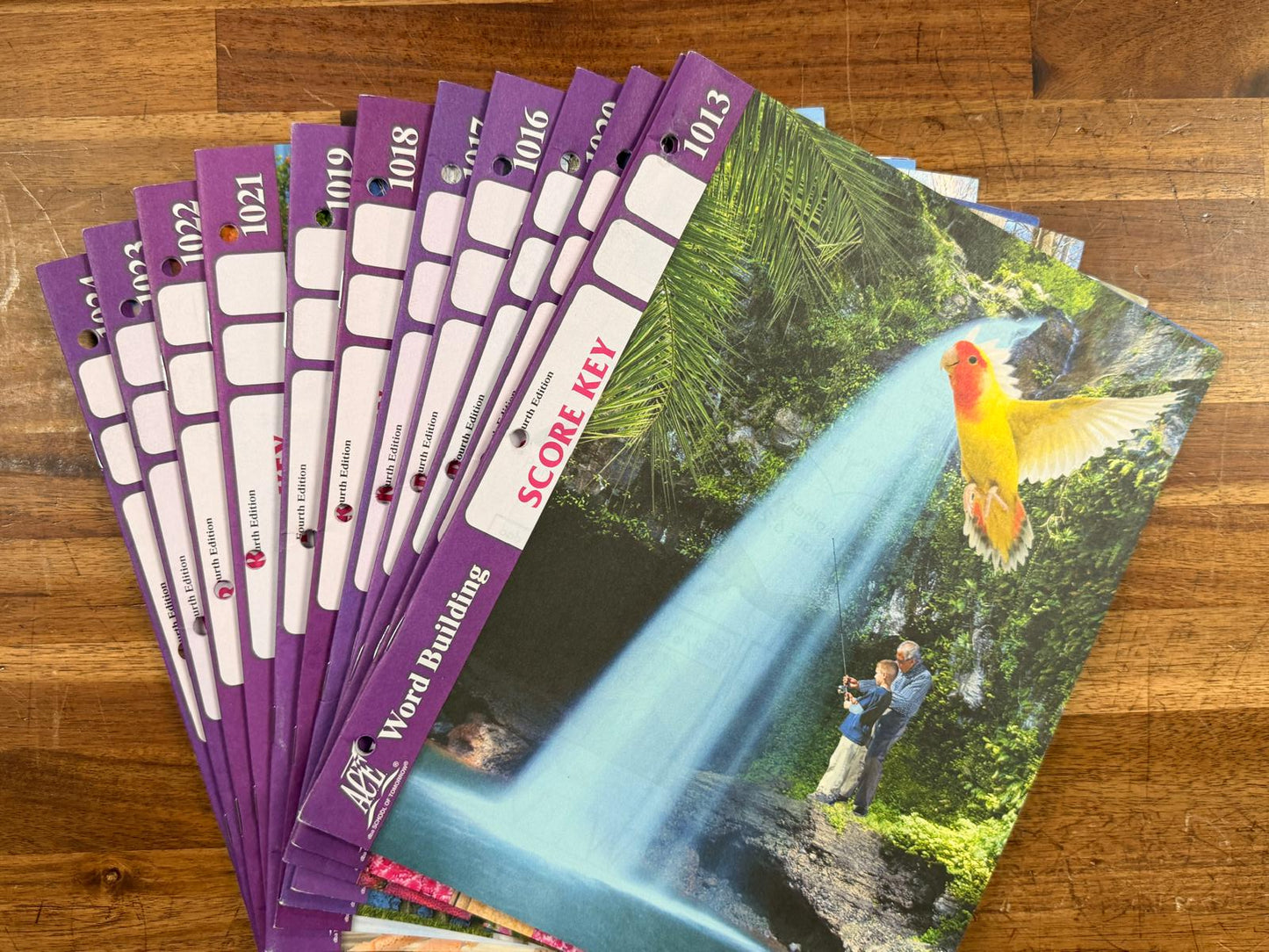 ACE Level 2 LOT - Sci, Word Building, English, SocStud, Math