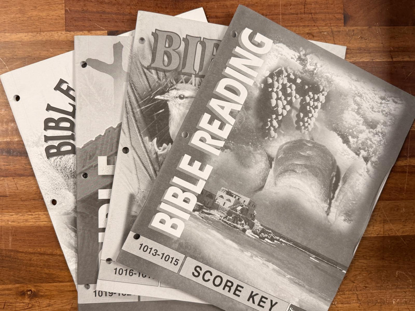 School of Tomorrow Bible Reading Score Keys 1013-1024