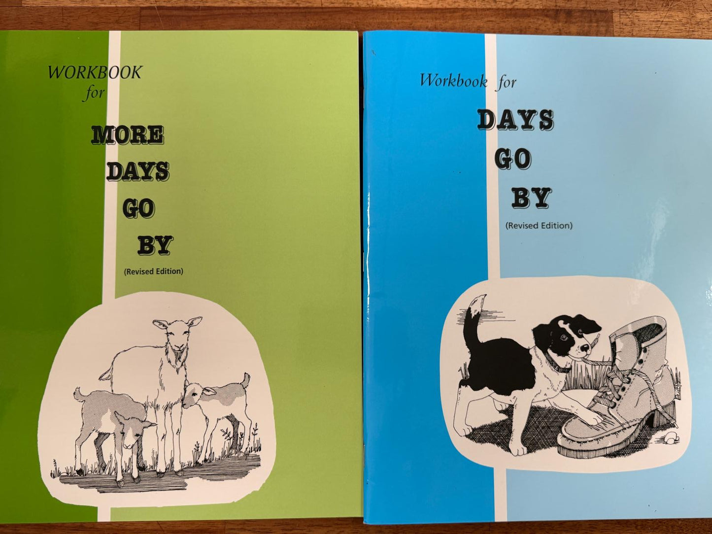 Pathway Publishers Days/More Days Go By TE & Workbook