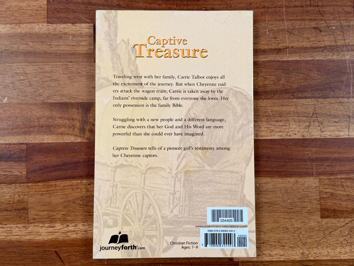Captive Treasure - Milly Howard