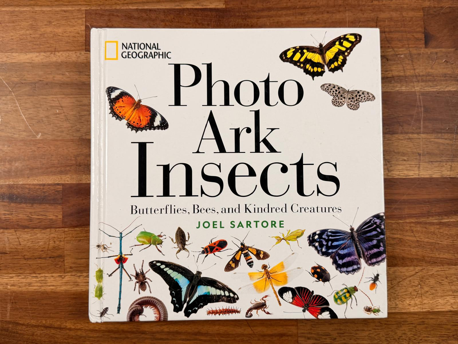 National Geographic - Photo Ark Insects