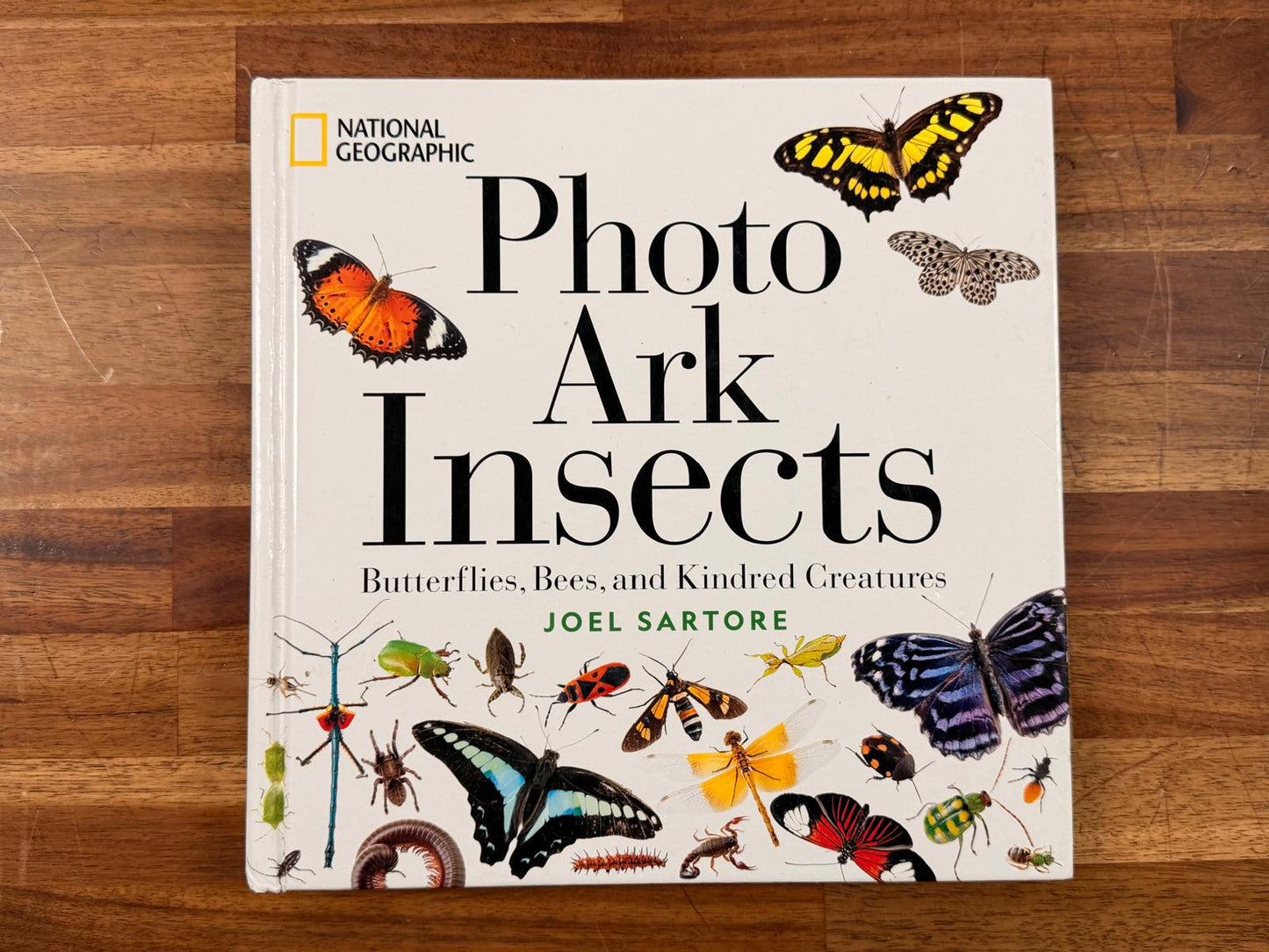 National Geographic - Photo Ark Insects