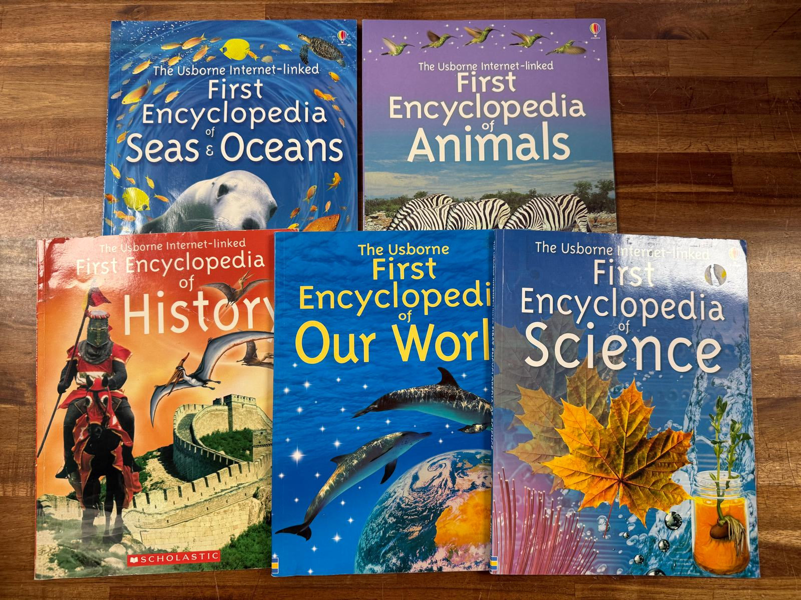 Usborne Social Stuies & Science LOT of 5 Books