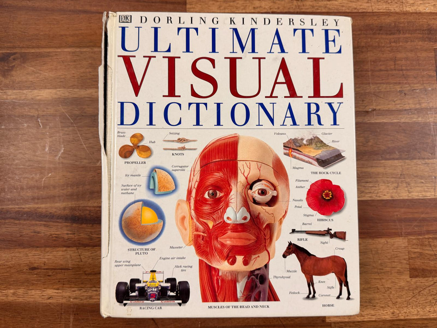 DK Ultimate Visual Dictionary by Dorling Kindersley