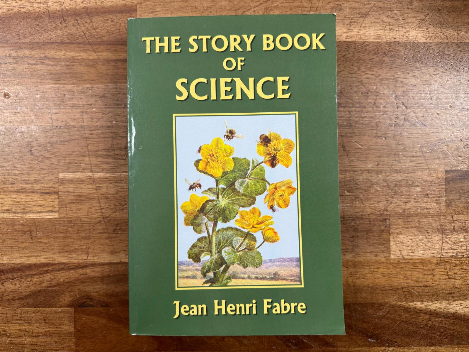 The Story Book of Science - Jean Henri Fabre