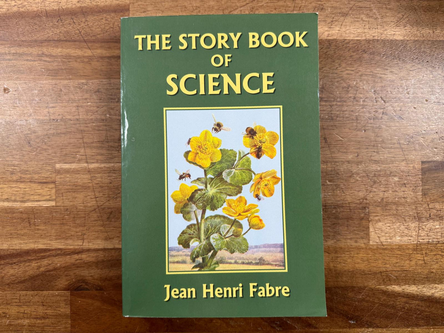 The Story Book of Science - Jean Henri Fabre