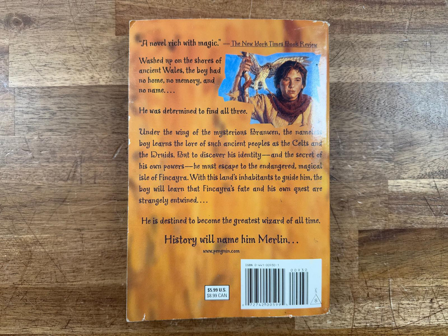 The Lost Years of Merlin by T. A. Barron