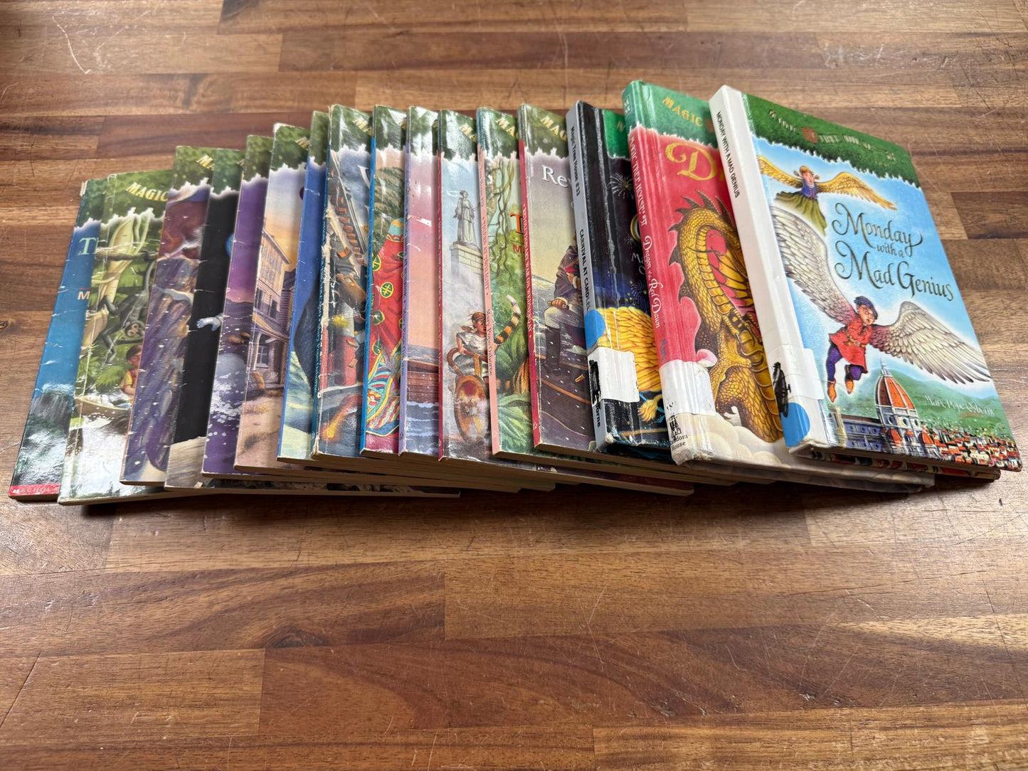 Magic Tree House LOT of 16