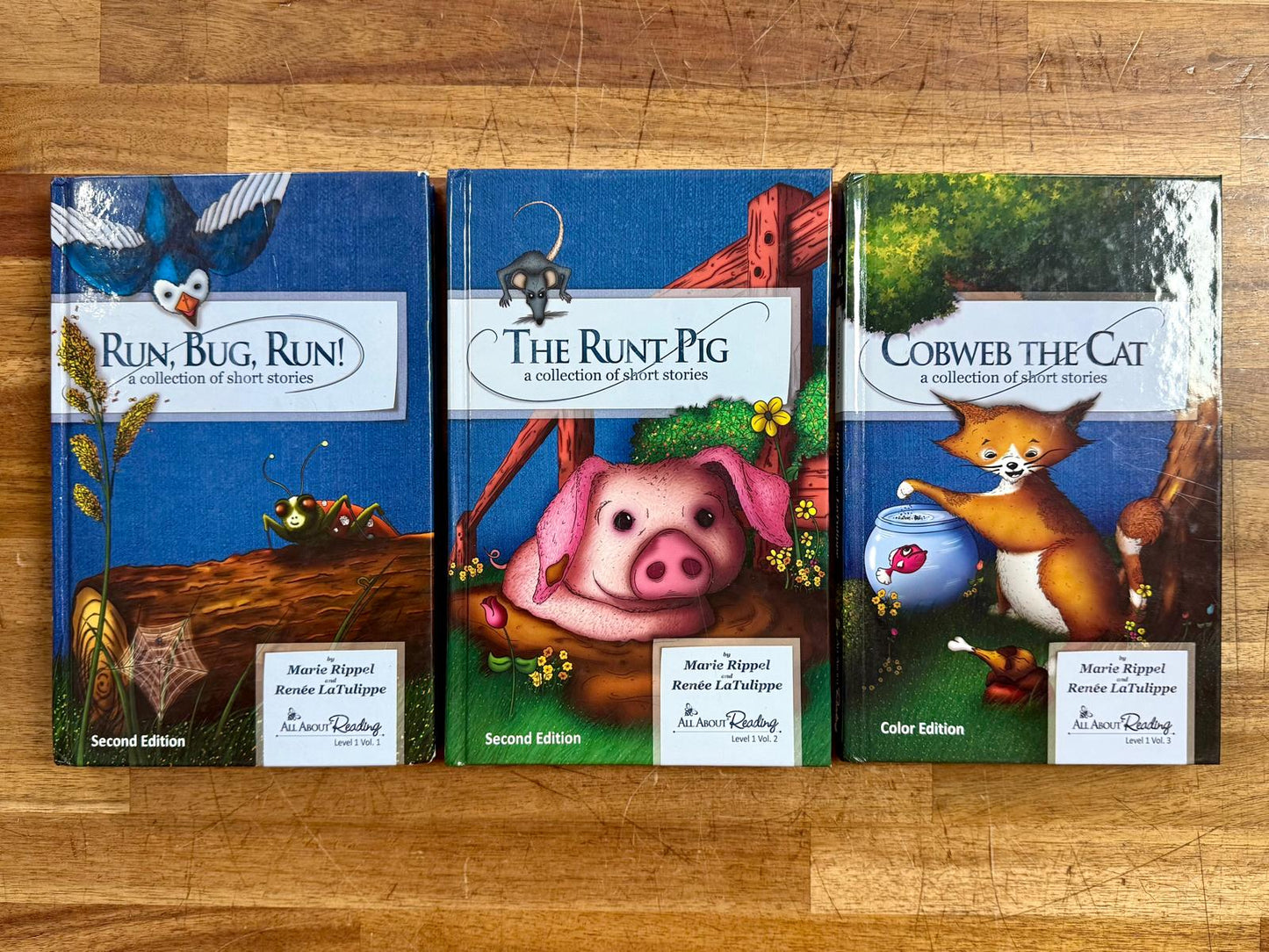 AAR Level 1 SET: Teacher Manual & 3 Readers