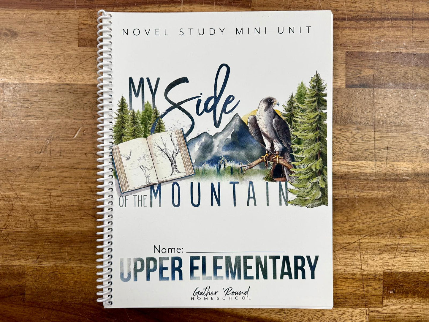 Gather Round My Side of the Mountain Upper Elementary - Like New