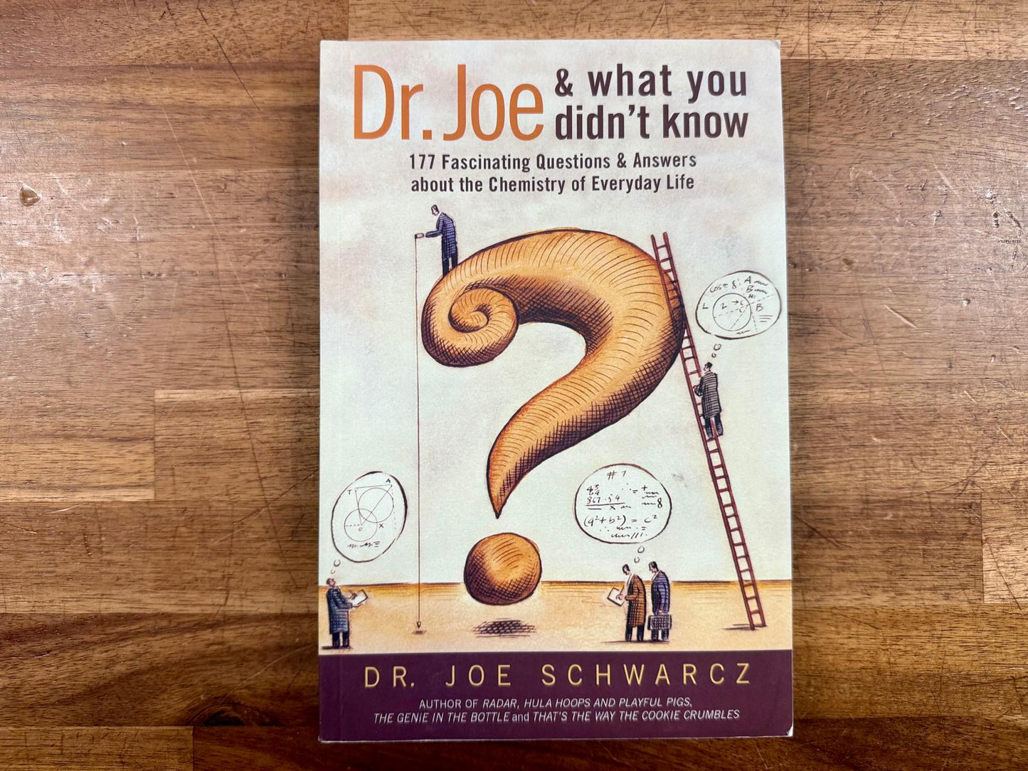 Dr. Joe and What You Didn't Know - Schwarcz, Very Good