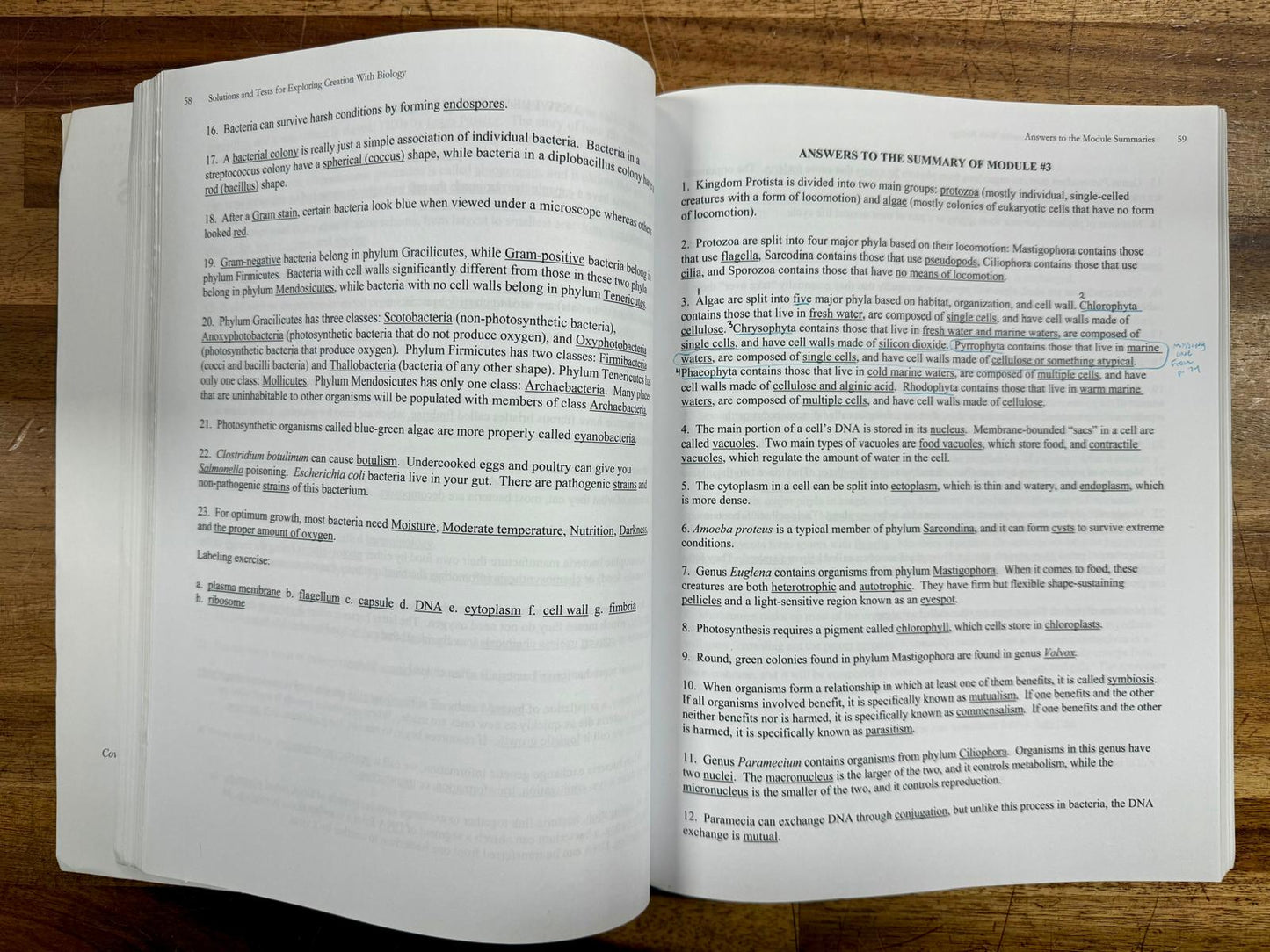 Apologia Exploring Creation w Biology 2nd Ed Text & Tests