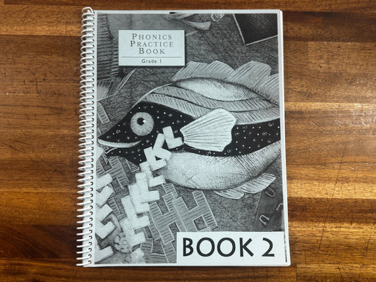 Phonics Practice Book Grade 1 (Book 2)