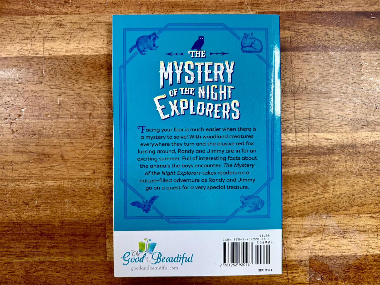 TGTB Level 4 Reader Mystery of the Night Explorers - VG