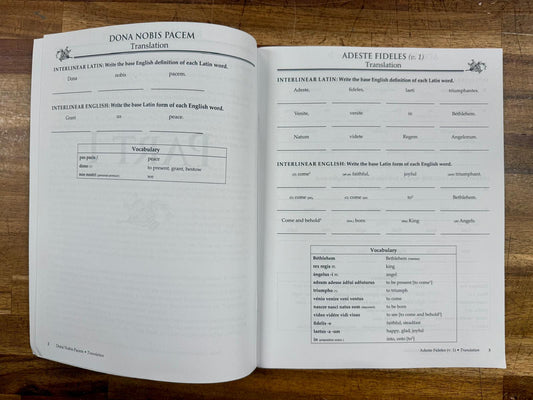 MP Introduction to Lingua Angelica Sudent Workbook - VG