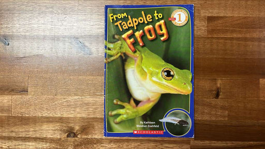 Scholastic Reader Level 1: From Tadpole to Frog
