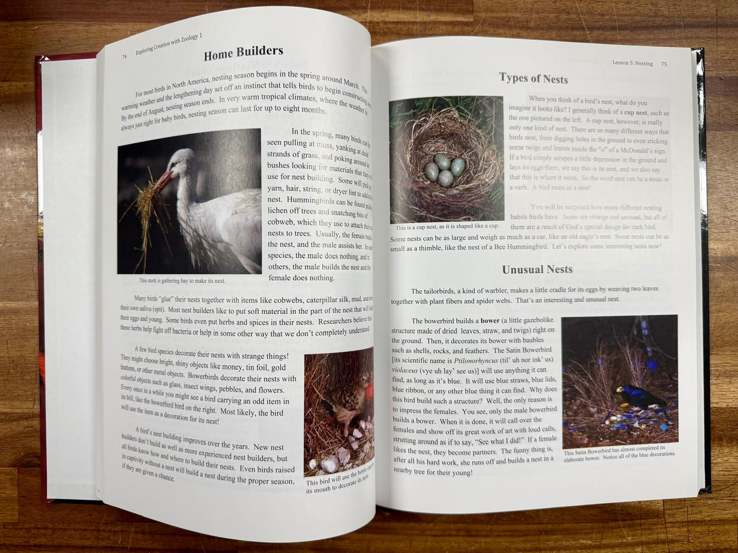 Exploring Creation Zoology 1 Textbook Notebook Journal SET