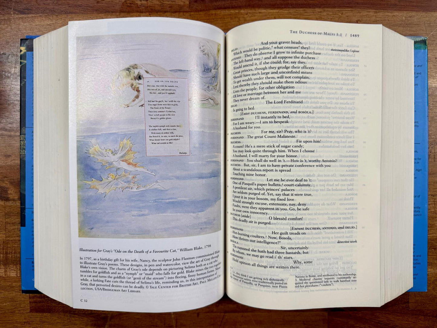 The Norton Anthology of English Literature Vol. 1 - HC, VG