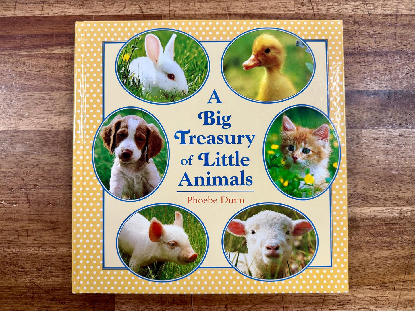 A Big Treasury of Little Animals - Good & Clean