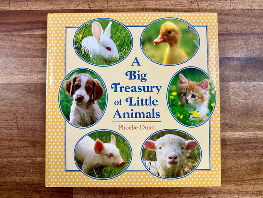 A Big Treasury of Little Animals - Good & Clean