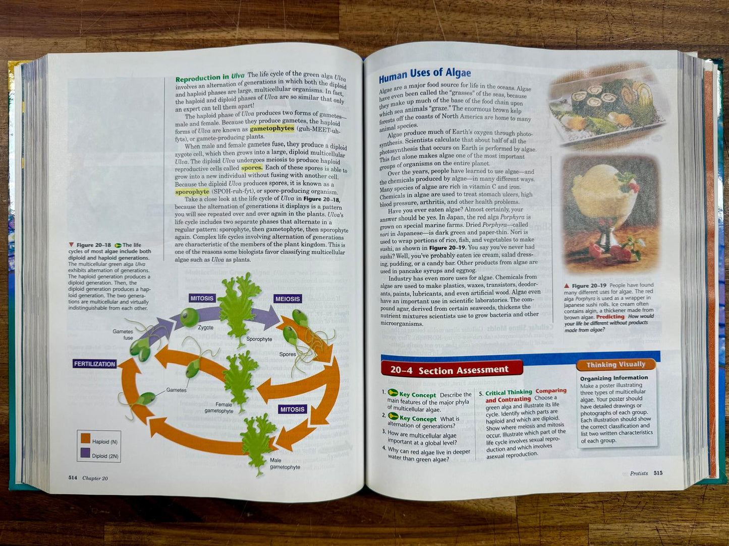 Biology NY edition Hardcover Miller & Levine