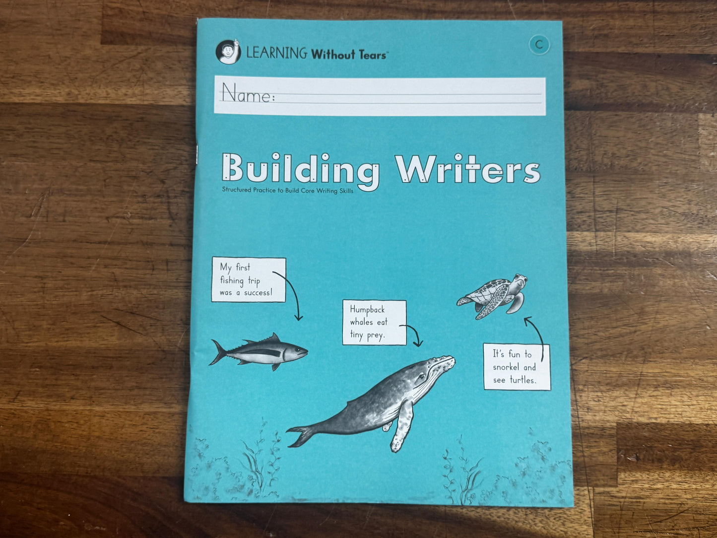 Learning Without Tears Building Writers Level C