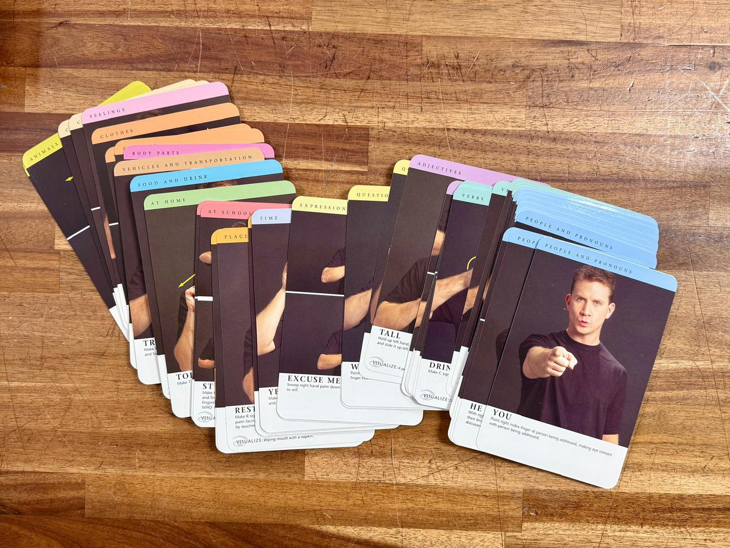 Learn American Sign Language (CARDS Only - No Book)