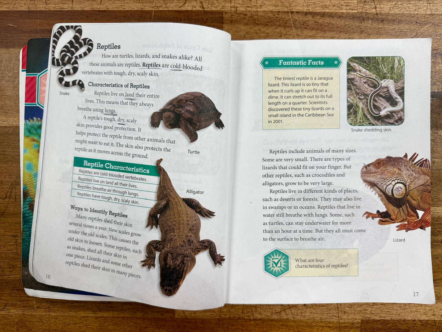 BJU Science 3 Student Text 4th Edition - Clean