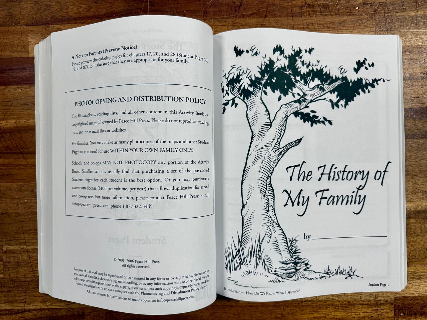 Story of the World Activity Book Vol 1 Ancient Times Revised Ed