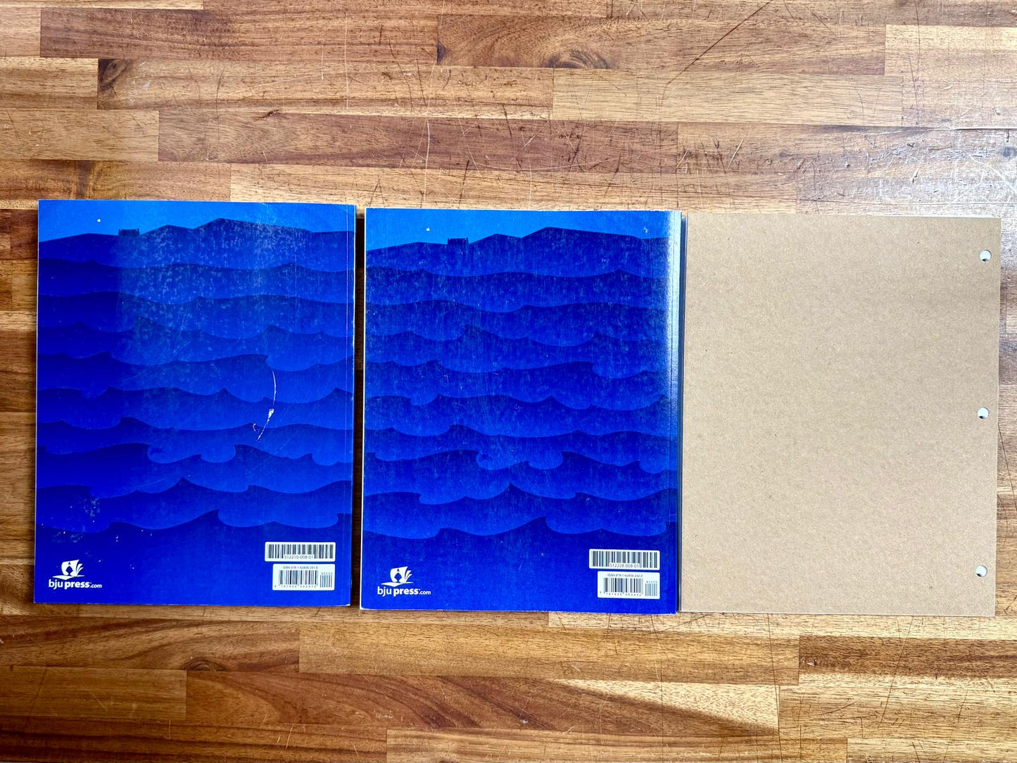 BJU Story of the Old Testament Text, Activities, Video Guide - VG