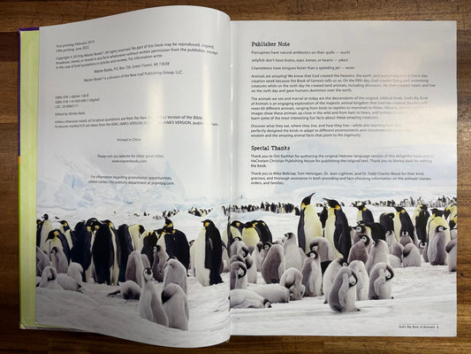 God's Big Book of Animals by Orit Kashtan - Very Good