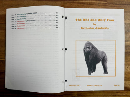 Lightning Literature & Composition Gr 4 Guide & Workbook SET