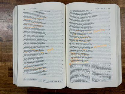 The Norton Anthology of World Literature 3rd Ed Vol. A, B & C