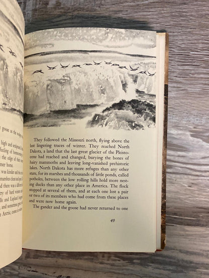 Wild Geese Calling by Robert Murphy